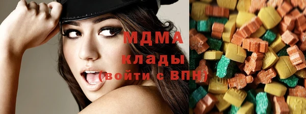 МДПВ Бородино