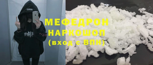 МДПВ Бородино