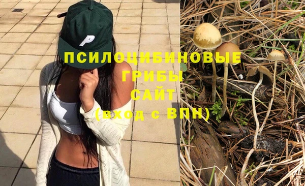твердый Бронницы