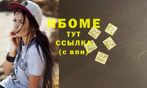 МДПВ Бородино