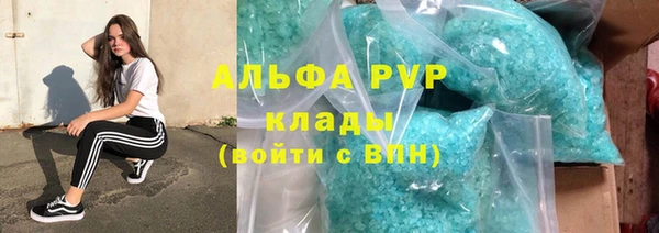 МДПВ Бородино