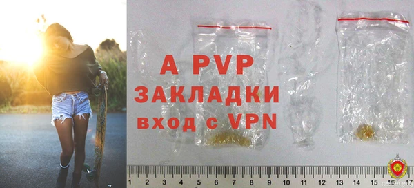 стаф Бугульма