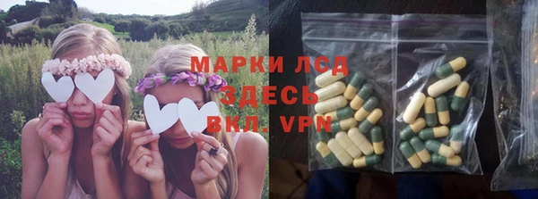 МДПВ Бородино