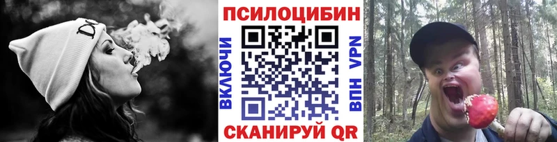 Купить где  Гусиноозёрск  Галлюциногенные грибы мухоморы 